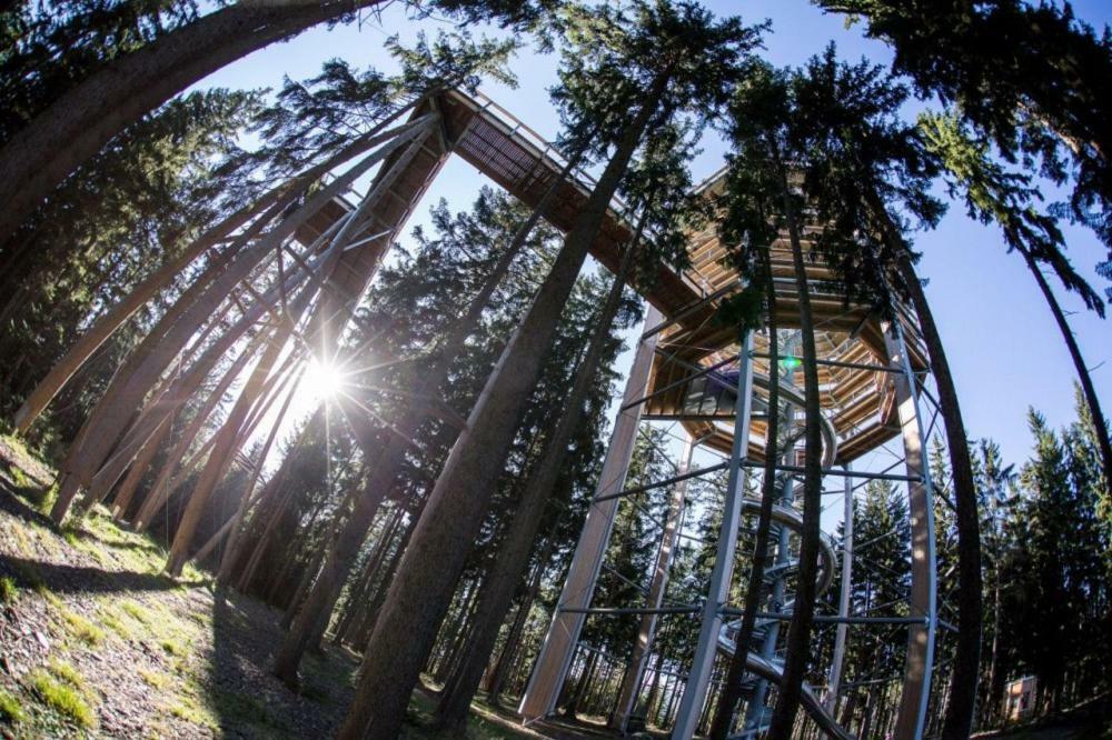 Retro Chaty U Plaze Lipno Hotell Černá v Pošumaví Exteriör bild